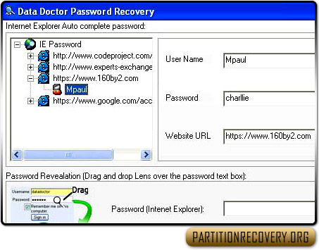 Internet Explorer Password Recovery Software